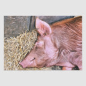 CUTE PIG TISSUEPAPIER (Voorkant)