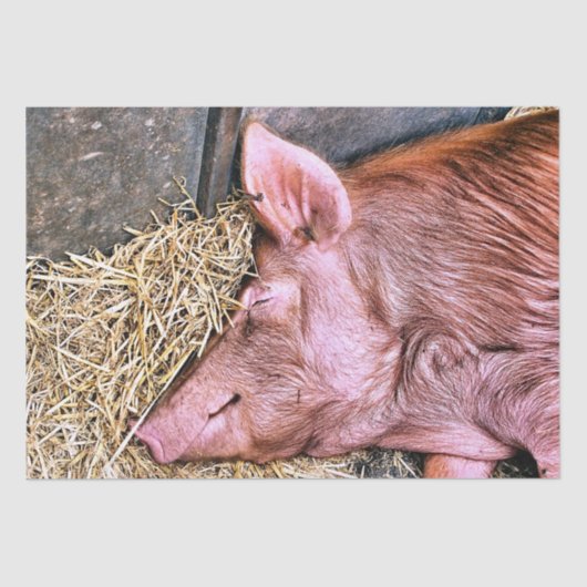 CUTE PIG TISSUEPAPIER (Voorkant)