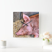 CUTE PIG VIERKANTE KLOK (Huis)