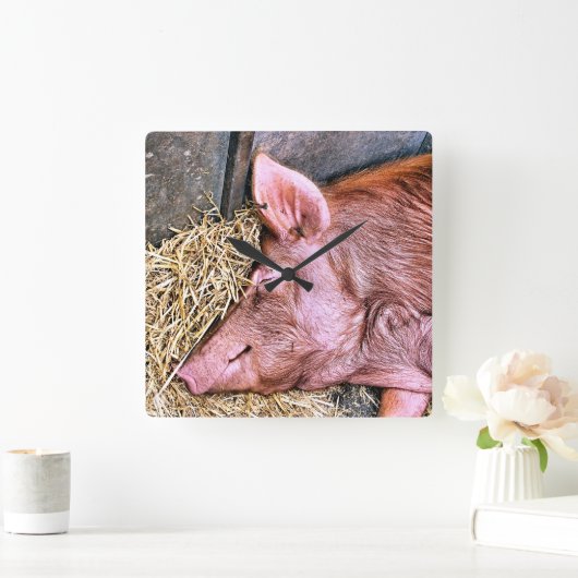 CUTE PIG VIERKANTE KLOK (Huis)