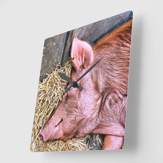 CUTE PIG VIERKANTE KLOK (Hoek)
