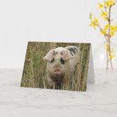 Cute Pig Wenskaart Kaart (Gele Bloem)