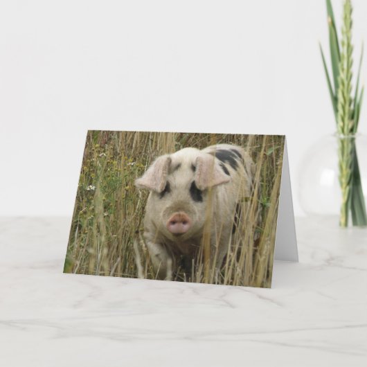 Cute Pig Wenskaart Kaart (Voorkant)