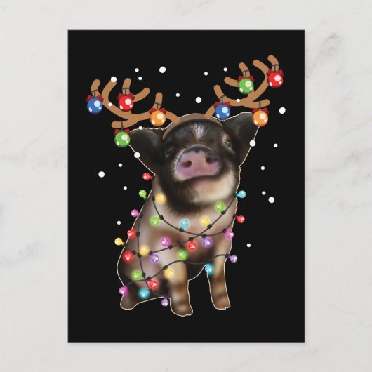 Cute Piggy, Pig Lover Funny Kerstfeestdag Gift Briefkaart (Voorkant)