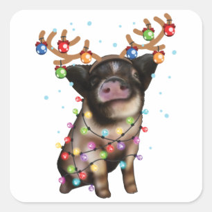 Cute Piggy, Pig Lover Funny Kerstfeestdag Gift Vierkante Sticker