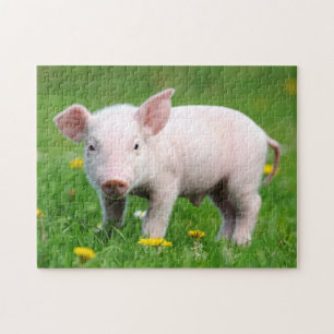 Cute Piglet en Dandelion Flowers Legpuzzel