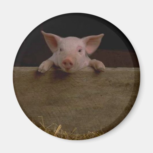 Cute Piglet Magneet (Voorkant)