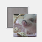 Cute Piglet Magneet (Voorkant / Achterkant)