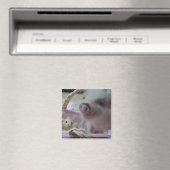 Cute Piglet Magneet (Insitu (Vaatwasser))