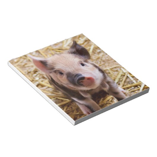 Cute Piglet Notitieblok (Schuin)