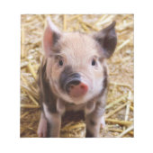 Cute Piglet Notitieblok (Voorkant)