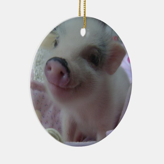 Cute Piglet Ornament (Rechts)