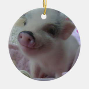 Cute Piglet Ornament