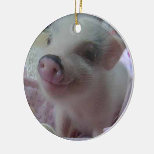 Cute Piglet Ornament (Links)