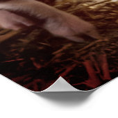 Cute Piglet Poster (Hoek)