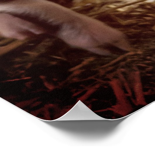 Cute Piglet Poster (Hoek)