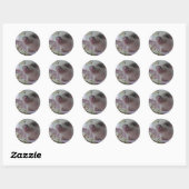 Cute Piglet Ronde Sticker (Vel)