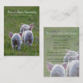 Cute Piglets Boerderij Sanctuary Visitekaartje (Voorkant / Achterkant)