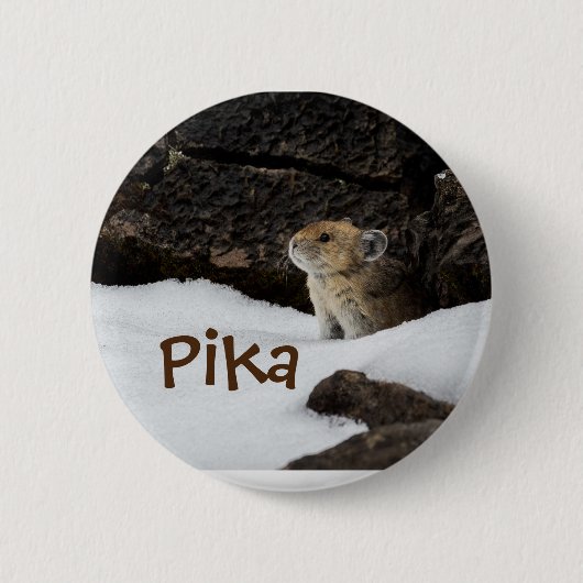 Cute Pika in de Sneeuw Foto Ronde Button 5,7 Cm (Voorkant)