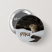 Cute Pika in de sneeuwfoto Ronde Button 5,7 Cm (Voorkant /achterkant)