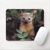 Cute Pine Marten Mousepad Muismat (Met muis)