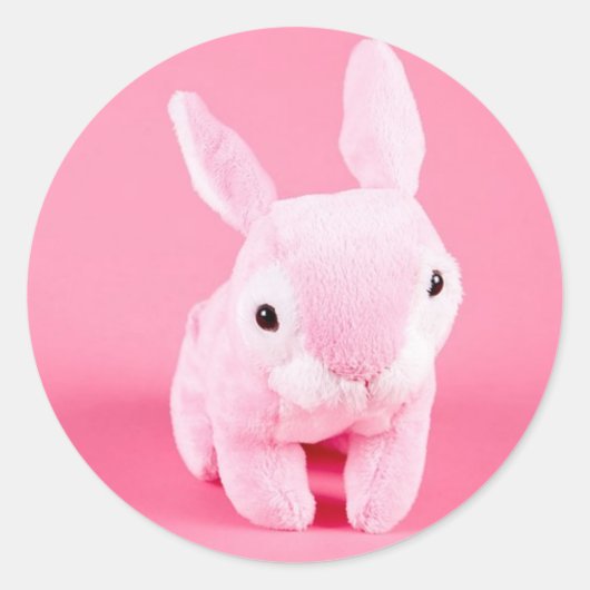Cute Pink Bunny Ronde Sticker (Voorkant)