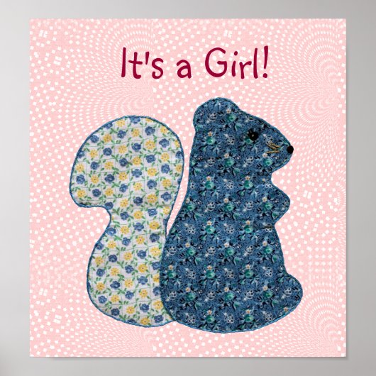 Cute Pink Country Style Squirrel Baby Girl Poster (Voorkant)