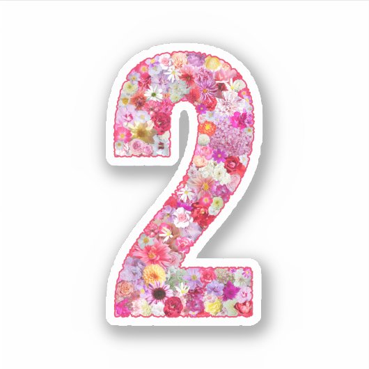 Cute Pink Decorative Botanical Floral Number 2 Sticker (Voorkant)
