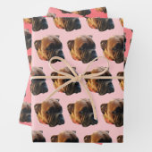Cute Pink Girly Boxer Dog Inpakpapier Vel (In situ)