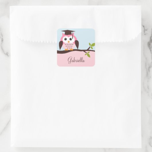Cute Pink Owl Vierkante Sticker (Tas)