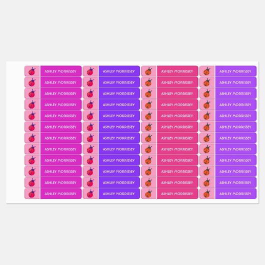 Cute Pink Paars Ladybug Kinder Name Labels (Vel)