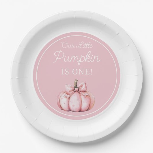 Cute Pink Pumpkin Girl First Birthday Papieren Bordje (Voorkant)