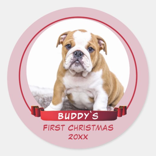 Cute Pink Puppy 1e kerstfoto Foto Ronde Sticker (Voorkant)
