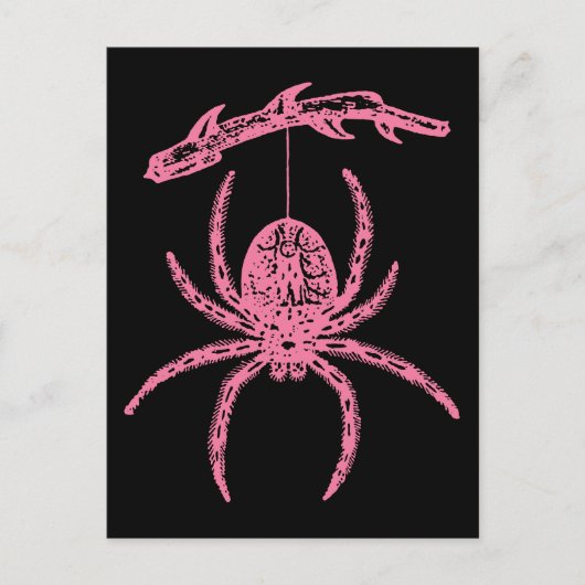 Cute Pink Spider Briefkaart (Voorkant)