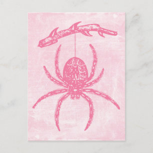 Cute Pink Spider Briefkaart
