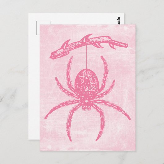 Cute Pink Spider Briefkaart (Voorkant / Achterkant)