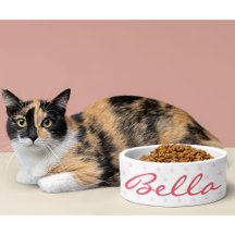 Cute Pink Stars Cat Kat Kitten Puppy Name Food