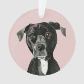 Cute Pit Bull Dog Ornament (voorkant)
