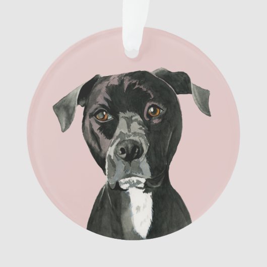 Cute Pit Bull Dog Ornament (voorkant)