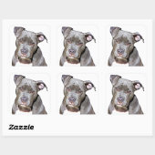 Cute Pit Bull Dog Stickers (Vel)