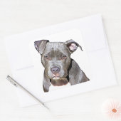 Cute Pit Bull Dog Stickers (Envelop)