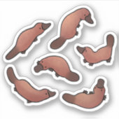 Cute Platypus Sticker (Voorkant)