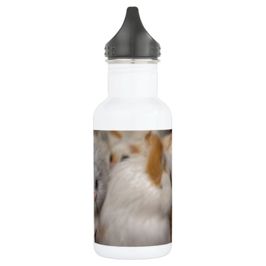 Cute Plushy Kittens Waterfles (Links)