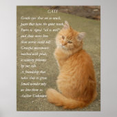 Cute Poem Oranje Kitten Cat Poster (Voorkant)