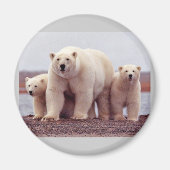 Cute Polar-beren Magneet (Voorkant)