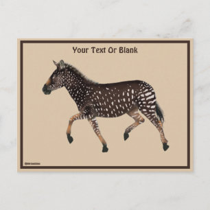 Cute Polka Dot Zebra Briefkaart