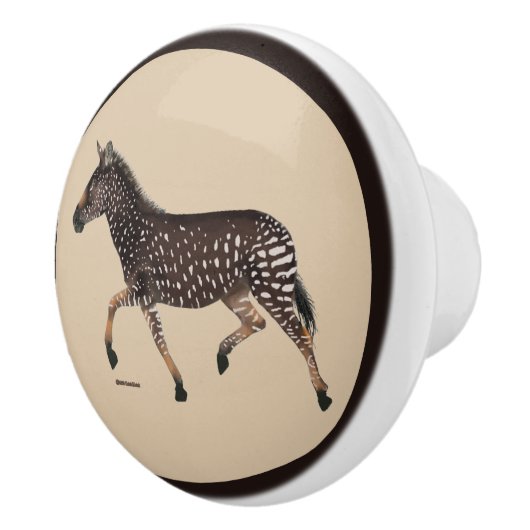 Cute Polka Dot Zebra Ceramic Knob Keramische Knop (Rechts)