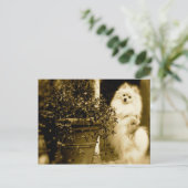 Cute Pomeranian Briefkaart (Staand voorkant)