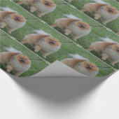 Cute Pomeranian Cadeaupapier (Hoek)