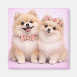 Cute Pomeranian Couple Valentine Illustration Magneet